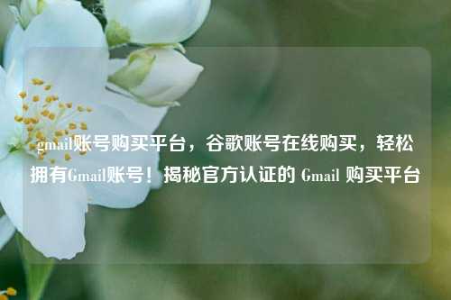 gmail账号购买平台，谷歌账号在线购买，轻松拥有Gmail账号！揭秘官方认证的 Gmail 购买平台