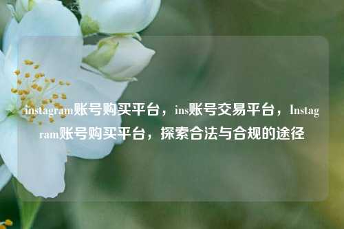 instagram账号购买平台，ins账号交易平台，Instagram账号购买平台，探索合法与合规的途径