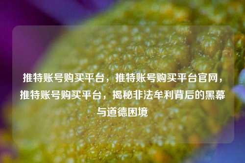 推特账号购买平台，推特账号购买平台官网，推特账号购买平台	，揭秘非法牟利背后的黑幕与道德困境  第1张