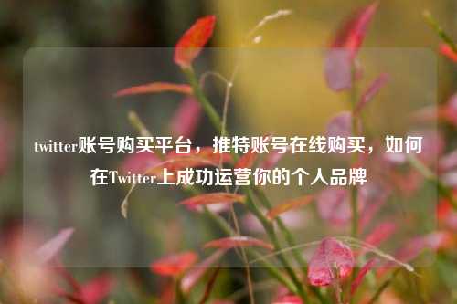 twitter账号购买平台，推特账号在线购买	，如何在Twitter上成功运营你的个人品牌  第1张