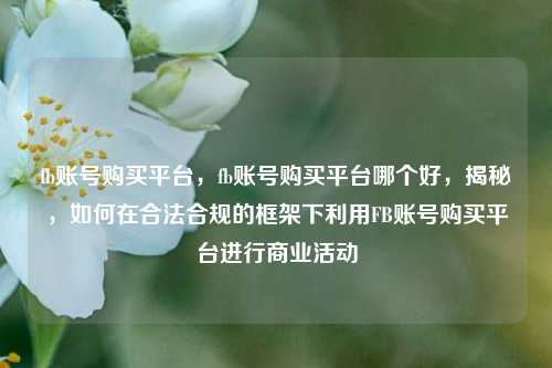 fb账号购买平台，fb账号购买平台哪个好，揭秘，如何在合法合规的框架下利用FB账号购买平台进行商业活动