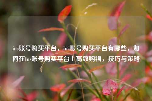 ins账号购买平台，ins账号购买平台有哪些，如何在Ins账号购买平台上高效购物	，技巧与策略  第1张