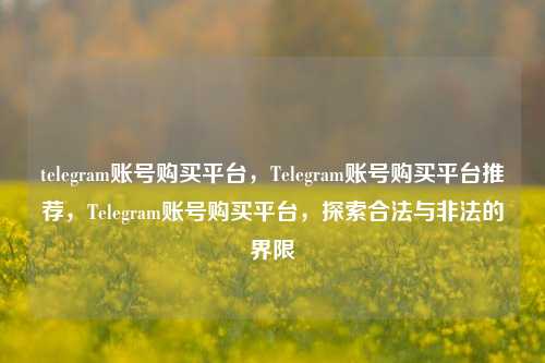 telegram账号购买平台，Telegram账号购买平台推荐，Telegram账号购买平台，探索合法与非法的界限